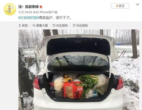 谁往后备箱塞了个顶流女明星,背后故事引人遐想